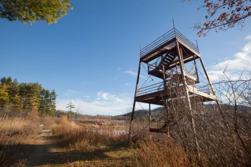 Fire Tower for Sale: A Unique Real Estate Opportunity