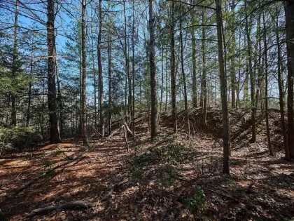  Pine Hill, Russell, MA 01071
