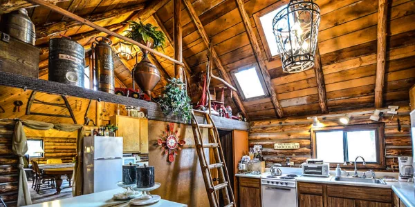 Rustic Cabin Tiny Home