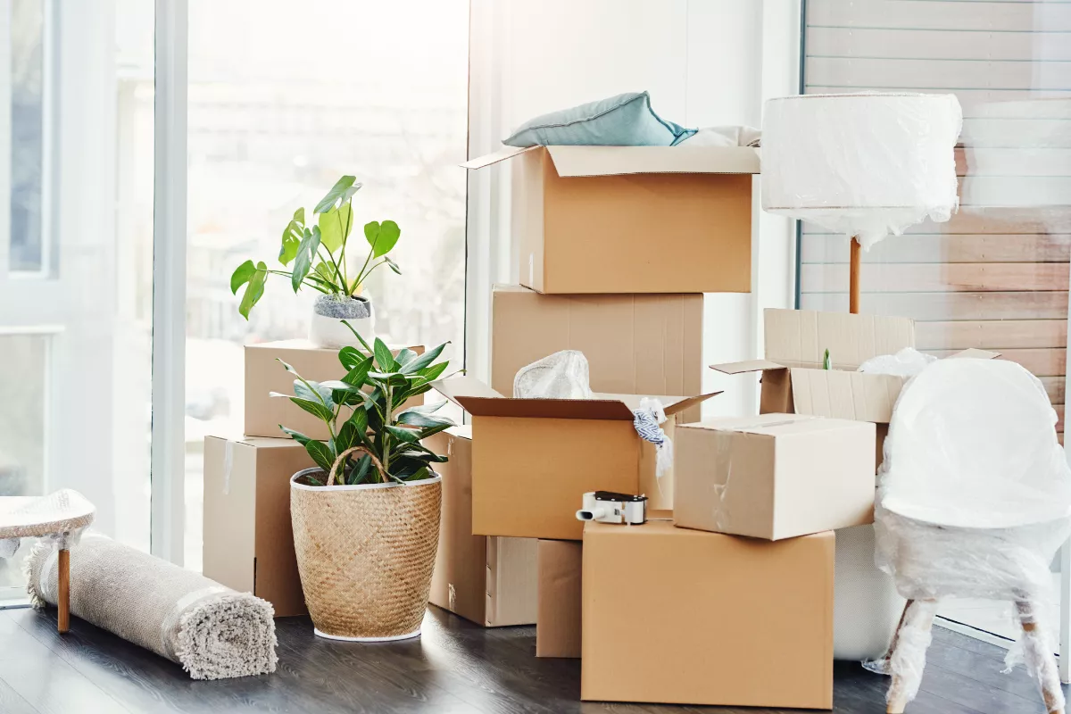 Moving Out Checklist: The Ultimate Guide to a Stress-Free Move