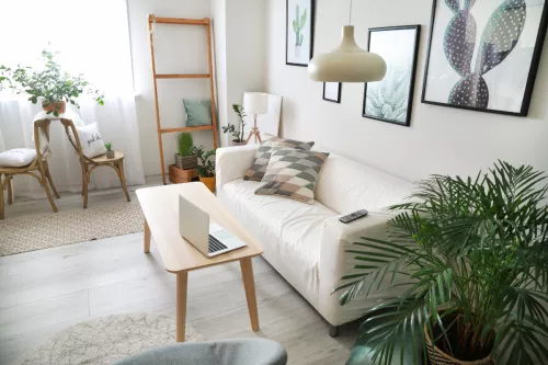 Plants as Decor: Fresh Air in Home Styling