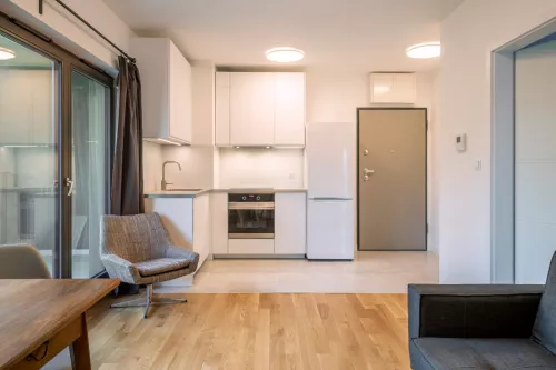 Micro Apartments: Exploring Compact Living