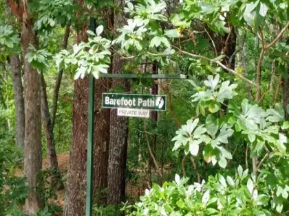 7 Barefoot Path