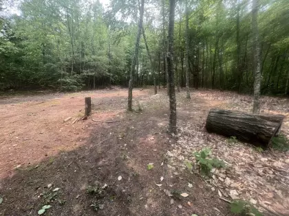 Lot 1 315 East County Rd