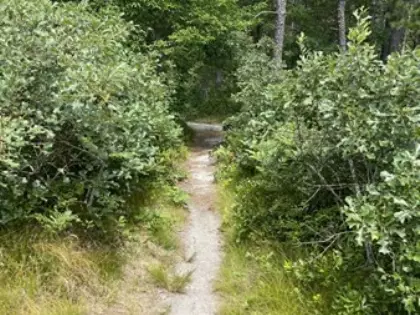 34 Lumberjack Trail