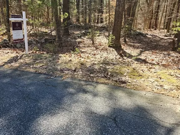 Lot 1A Bogastow Brook Rd, Sherborn, MA 01770